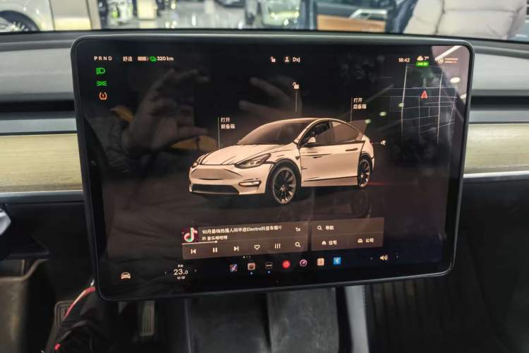 Used Tesla Model Y 2021 Standard Range Rear-Wheel Drive Version
