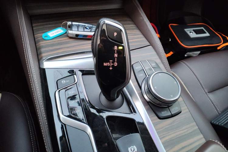 Used BMW 5 Series 2019 530Li Leading Model Luxury Package