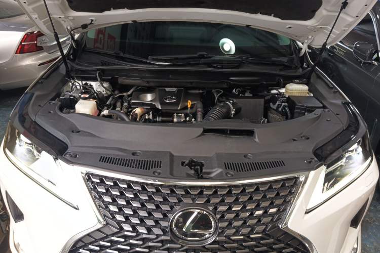 Used Lexus RX 2020 Revised Version 300 Two-Wheel Drive Elite Edition