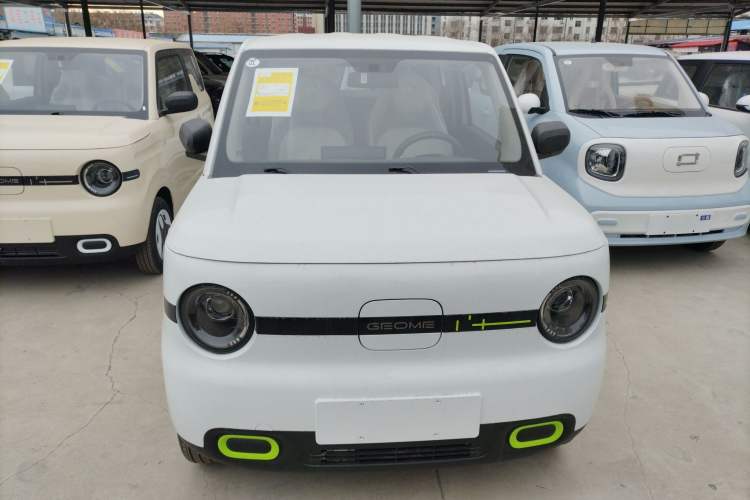 Used  Panda 2025 210 km – Yuanqi Bear