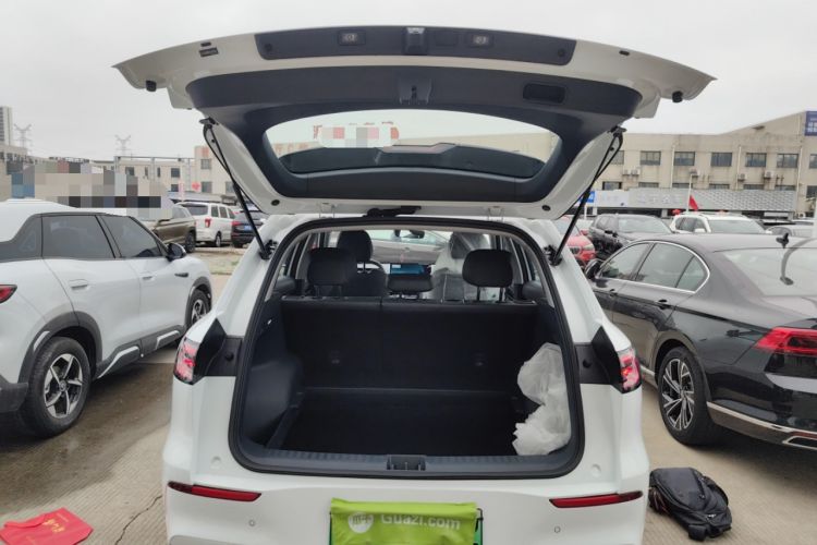 Used  E5 2024 Model 530km Business Edition