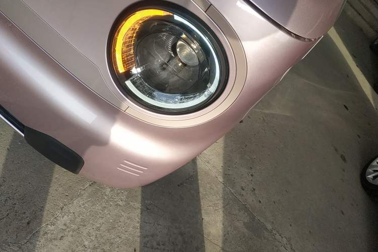 Used  Panda 2023 Panda Mini 200km Dynamic Bear