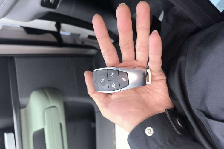 Used  BJ40 Electric Drive 2025 Standard Edition
