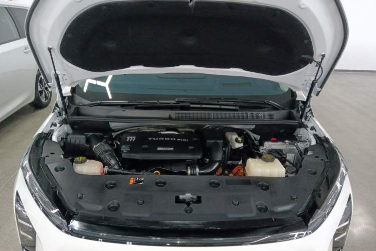 Used Buick GL8 New Energy 2024 Lu Zun Luxury Edition 7-Seater
