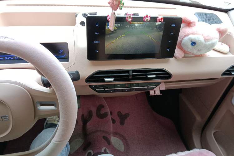 Used  Panda 2023 Panda Mini 200km Endurance Bear
