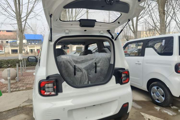 Used  Panda 2024 Panda Mini 200km Endurance Bear
