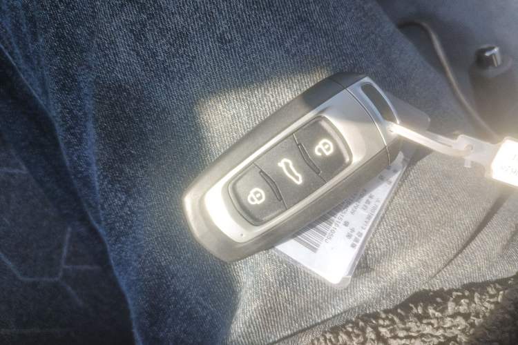 Used  Panda 2024 Panda Mini 200km Endurance Bear
