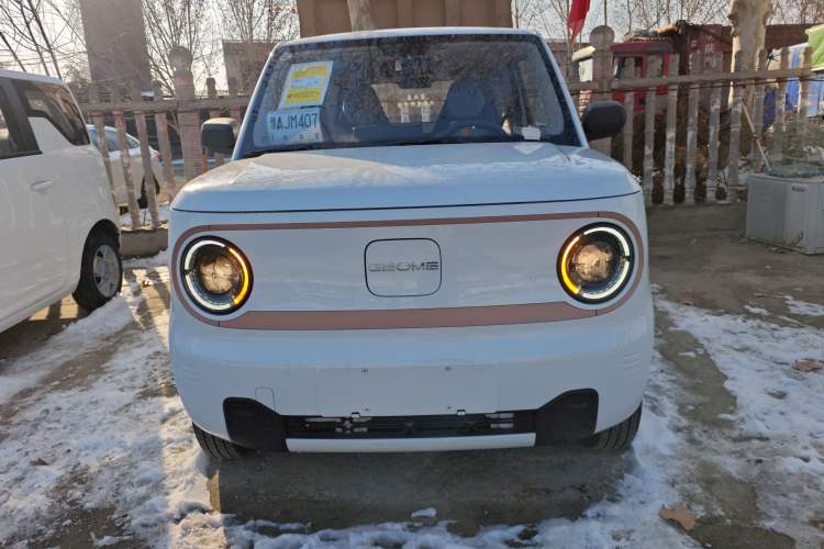 Used  Panda 2024 Panda Mini 200km Endurance Bear