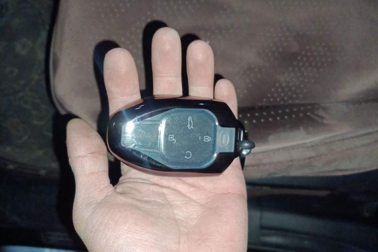 Used GAC Trumpchi GS8 2022 LINGHANG Series 2.0 TGDI Two-Wheel-Drive Luxury Edition (7 Seats)