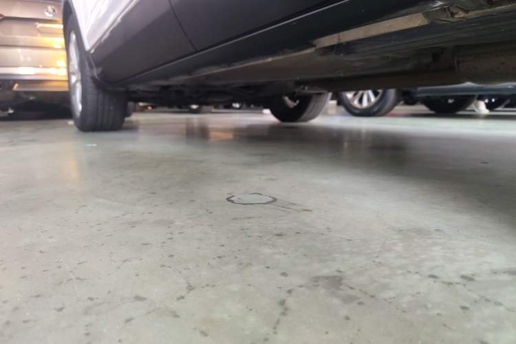 Used Ford Kuga 2018 EcoBoost 180 Two-Wheel-Drive Luxury Wing Edition
