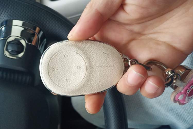 Used AION RT 2025 650 LiDAR Edition
