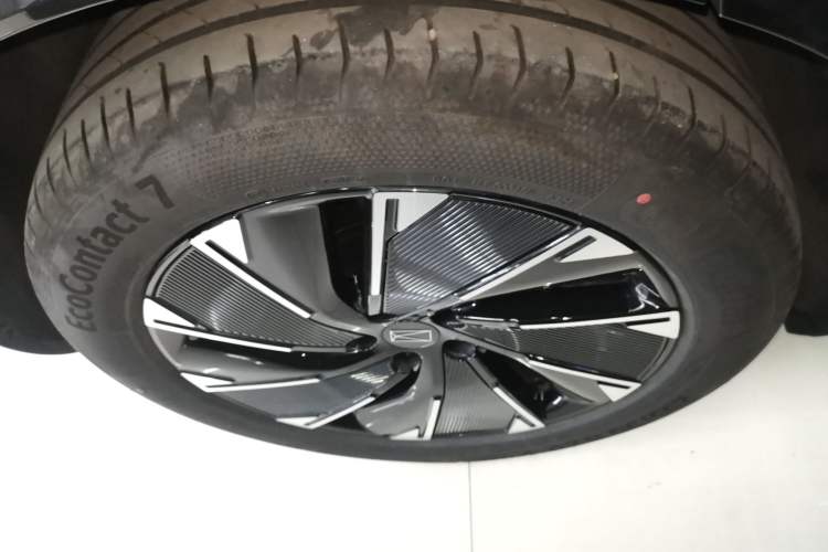 Used  07 2024 Max Extended-Range Edition
