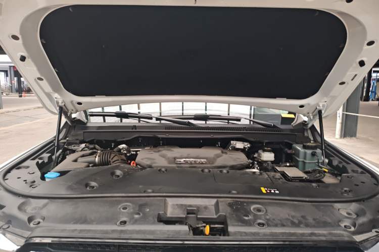 Used Tank 500 New Energy 2025 Hi4-Z
