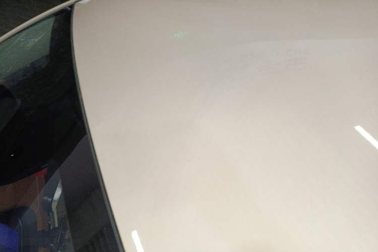 Used ORA Good Cat 2023 401 km Standard Range Luxury Version Lithium Iron Phosphate