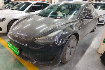Used Tesla Model 3 2021 Revised Version Standard Range Rear-Wheel Drive Upgraded Edition 3D1