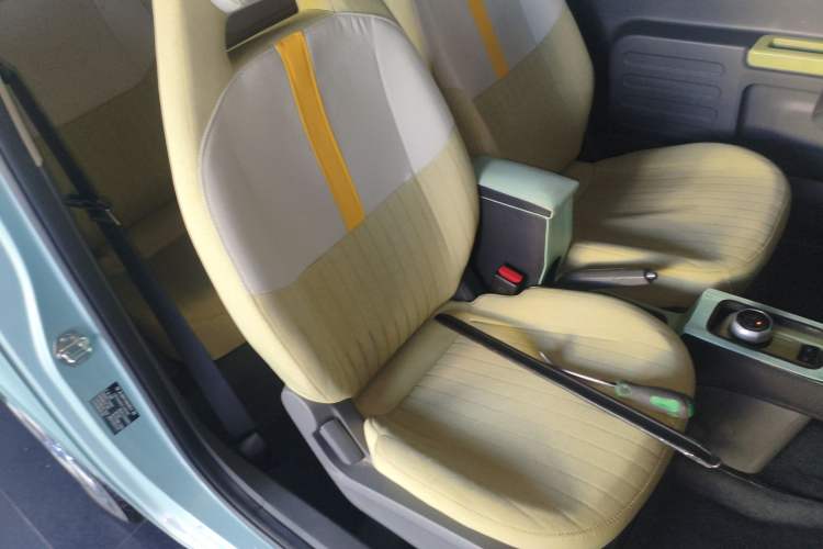 Used  Panda 2023 Panda Mini 200km Endurance Bear