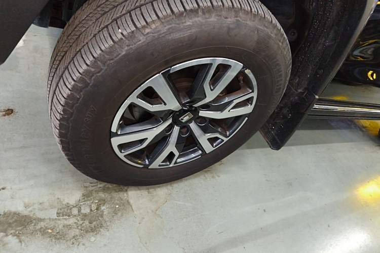 Used Tank 300 2024 2.0T Crosser
