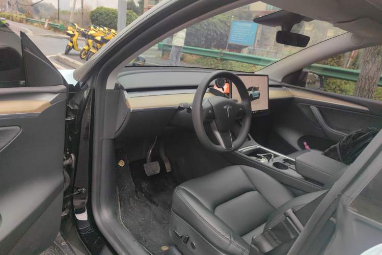 Used Tesla Model Y 2022 Revised Version Long-Range All-Wheel Drive