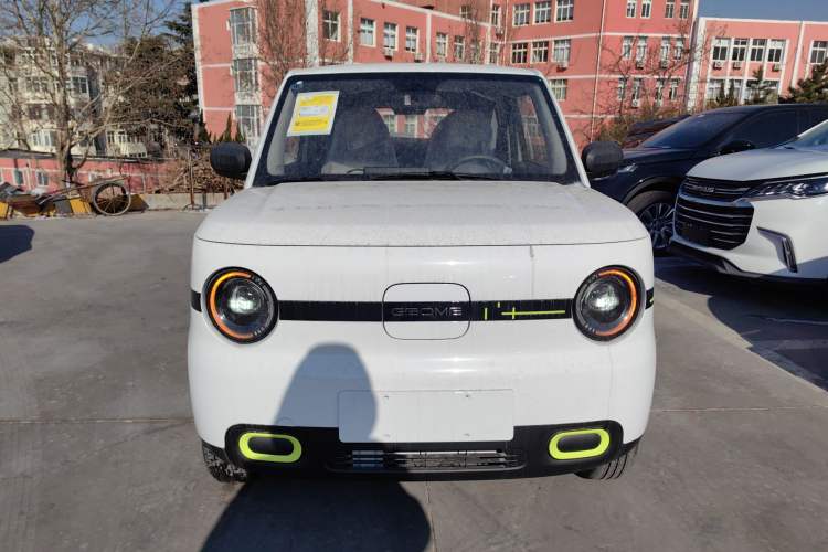 Used  Panda 2025 210 km – Yuanqi Bear