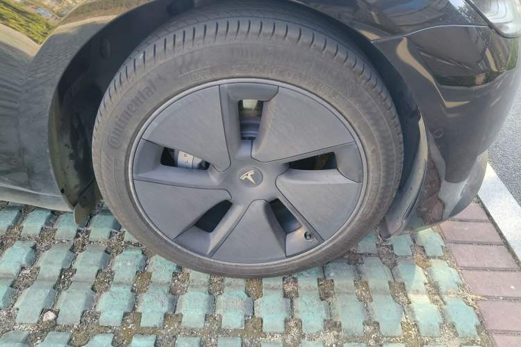 Used Tesla Model 3 2021 Revised Version Standard Range Rear-Wheel Drive Upgraded Edition 3D1
