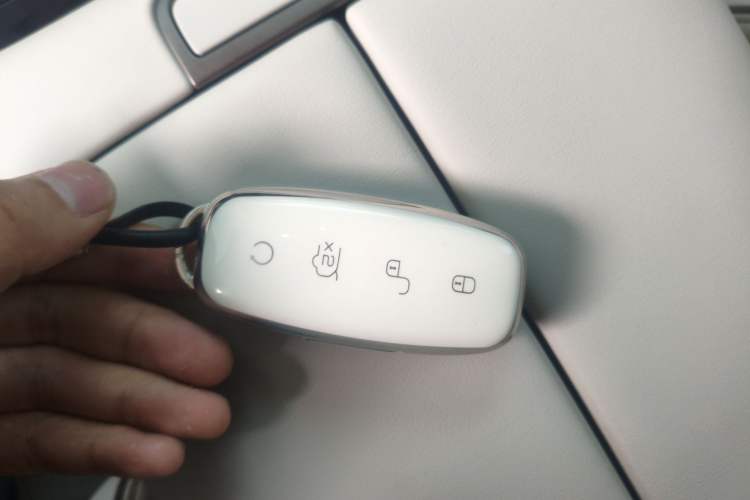 Used Denza D9 2022 DM-i 970 Four-Wheel Drive Flagship Model
