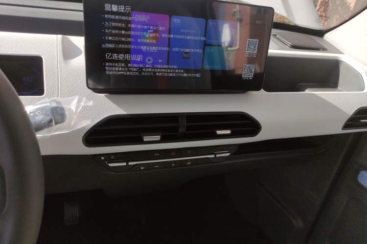 Used  Panda 2024 Panda Mini 200km Endurance Bear
