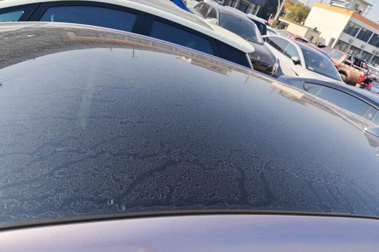 Used BYD Dolphin 2021 405 km Fashion Edition
