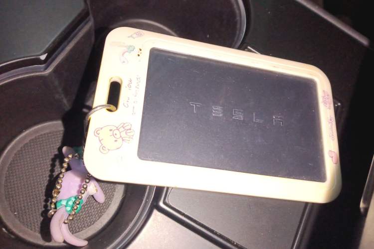 Used Tesla Model 3 2020 Standard Range Rear-Wheel Drive Upgraded Version