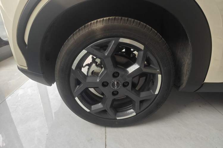 Used BYD Seagull 2025 305 km Free Version