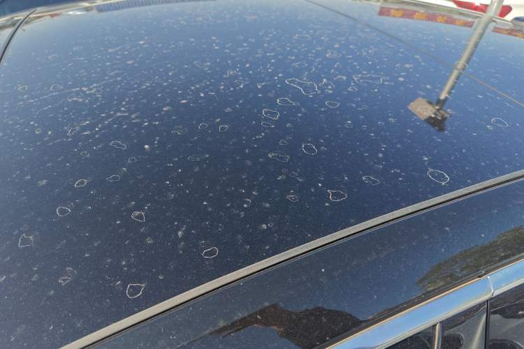 Used Audi A6L 2019 45 TFSI Prestige Dynamic Edition
