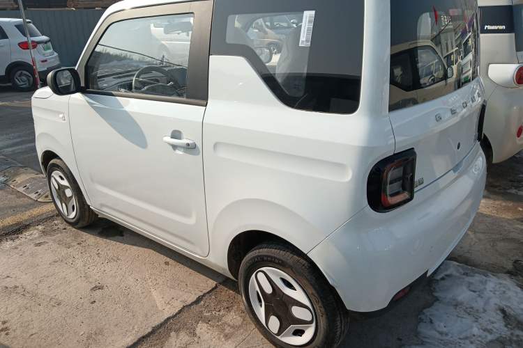Used  Panda 2025 210 km – Yuanqi Bear
