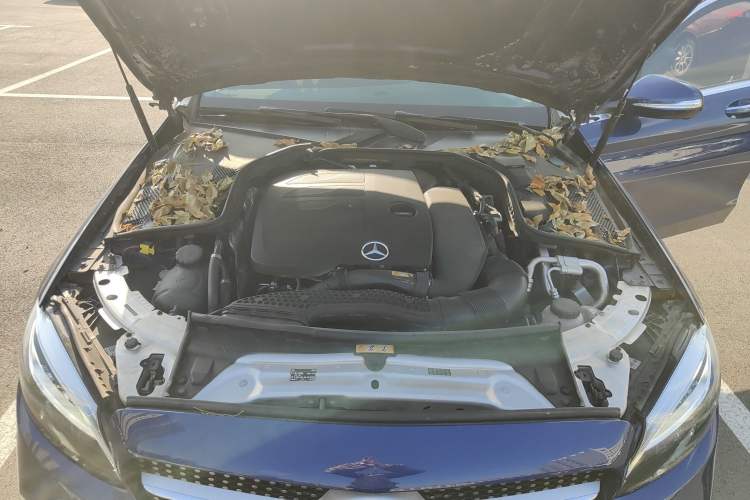 Used Mercedes-Benz C-Class 2019 C 260 L Sport Edition