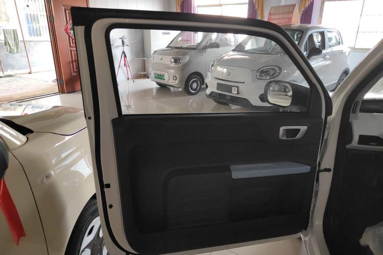 Used  Panda 2024 Panda Mini 200km Endurance Bear