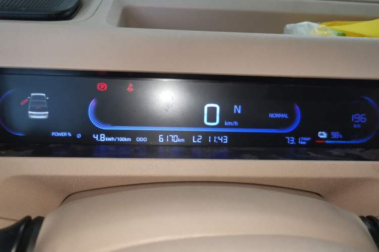 Used  Panda 2024 Panda Mini 200km Endurance Bear