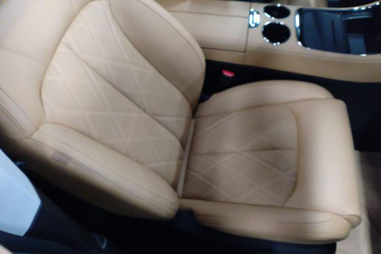 Used Leapmotor C11 2024 All-Electric 580 Luxury Edition