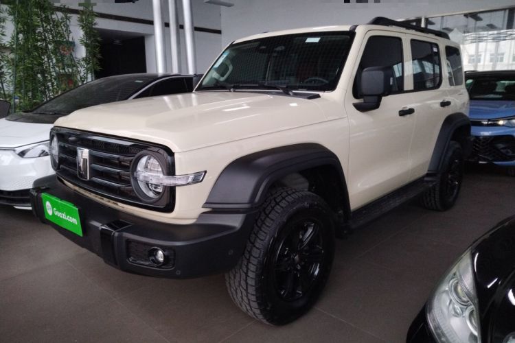 Used Tank 300 2025 2.0T Conqueror