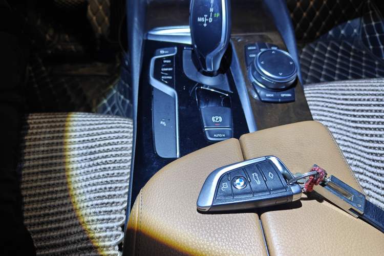 Used BMW 5 Series 2018 528Li Launch Special Edition
