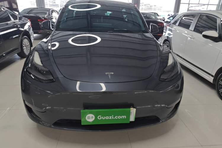 Used Tesla Model Y 2021 Long-Range All-Wheel-Drive Version
