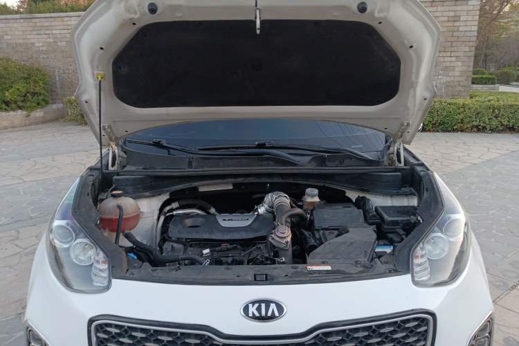 Used Kia KX5 2016 1.6T Automatic Two-Wheel Drive DLX
