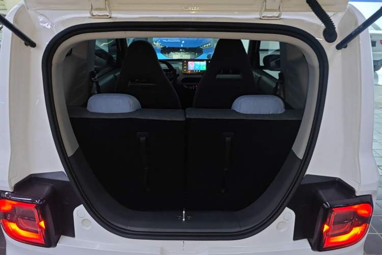 Used  Panda 2023 Panda Mini 200km Endurance Bear