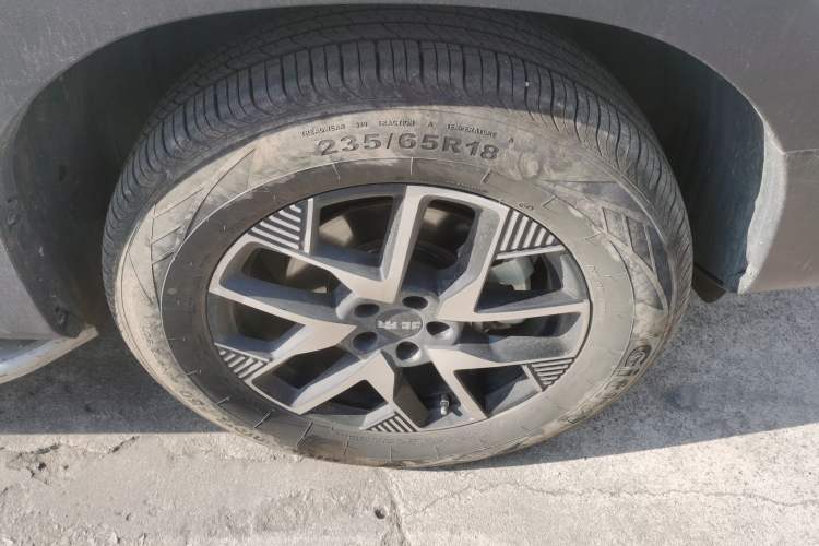 Used  BJ30 2024 1.5T Light Wilderness Pro Edition
