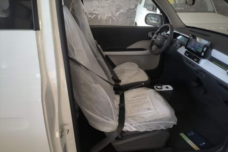 Used  Panda 2025 210 km – Yuanqi Bear