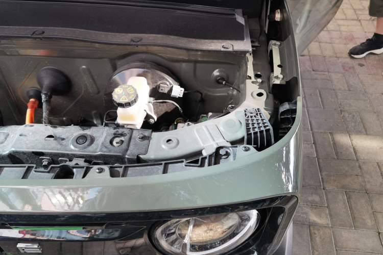 Used  Panda 2024 Panda Mini 200km Endurance Bear
