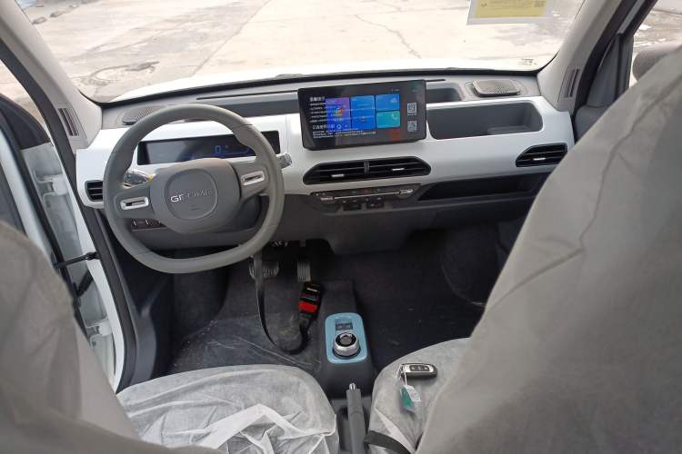 Used  Panda 2024 Panda Mini 200km Endurance Bear
