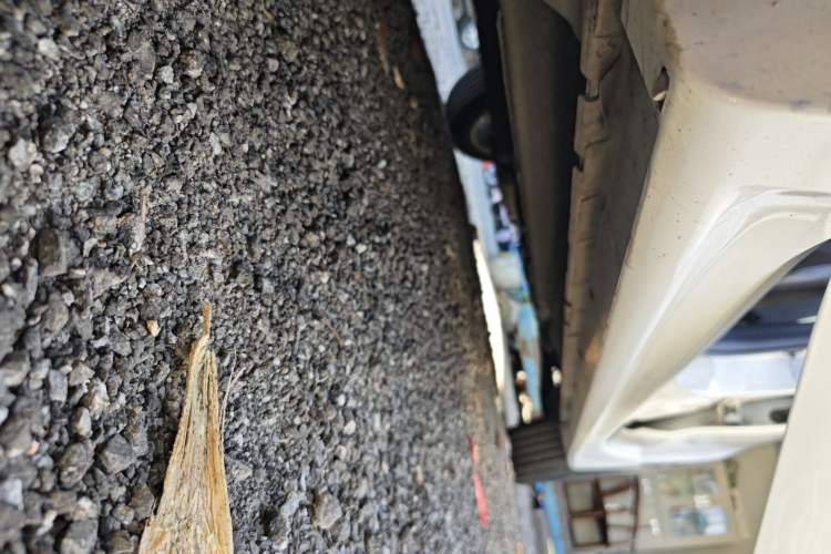 Used Mitsubishi Lancer EX 2015 1.6L Manual Fashion Edition
