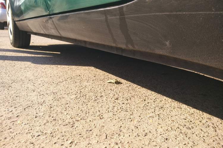 Used ORA Black Cat 2021 301 km Basic Version
