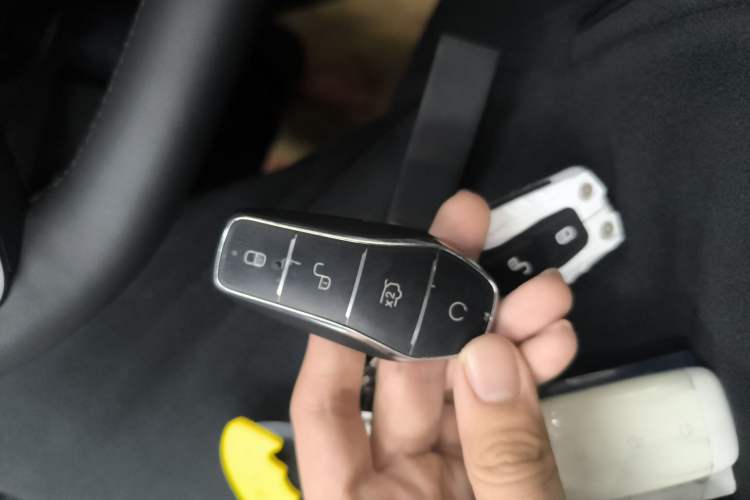 Used BYD Sealion 05 DM-i 2025 DM-i Smart Drive 115KM Flagship Model
