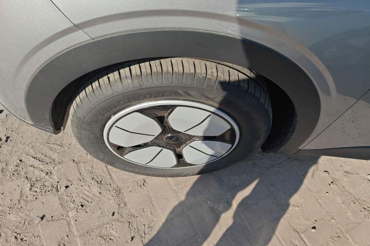 Used  Geome 2025 310km Youth Edition
