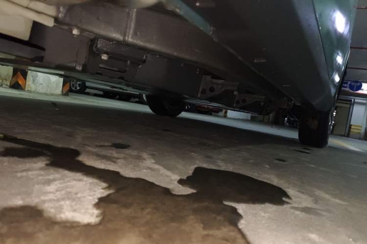 Used NETA V 2021 Standard Range Entertainment Edition
