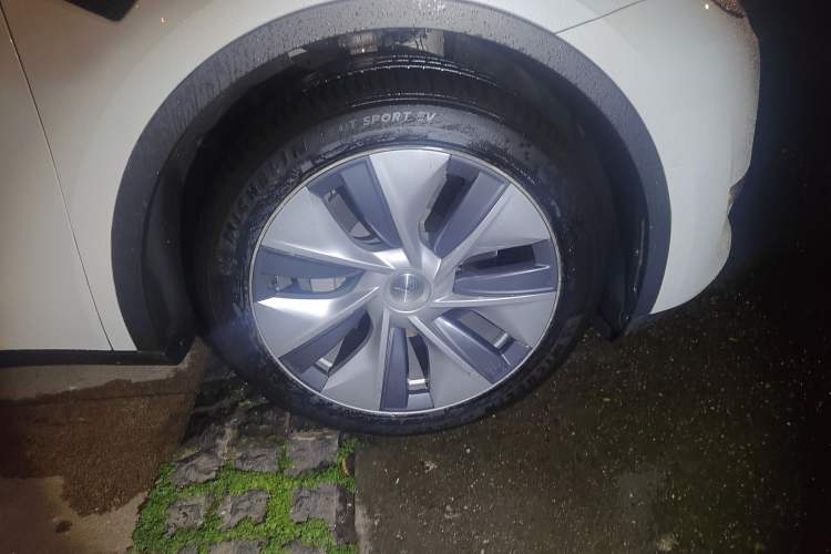 Used Tesla Model Y 2021 Standard Range Rear-Wheel Drive Version
